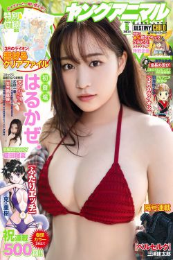 季如风